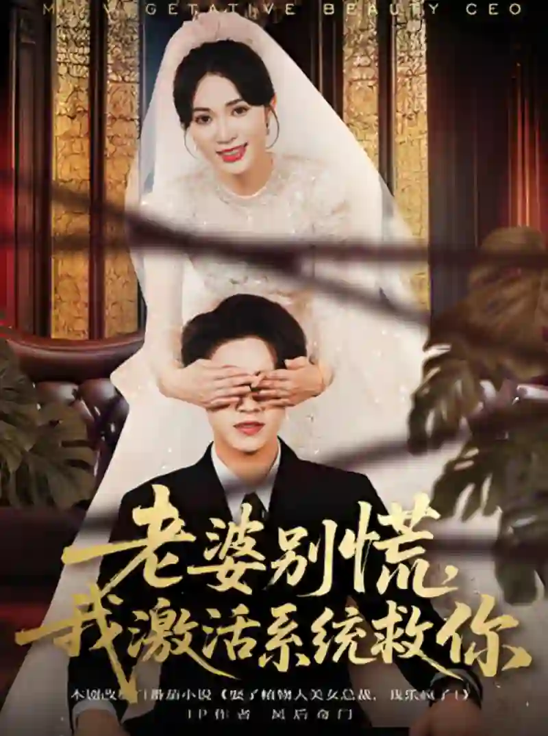 老婆别慌,我激活系统救你