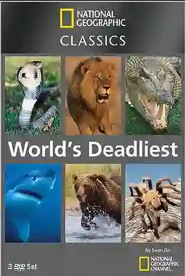 世界致命动物系列：中美洲篇